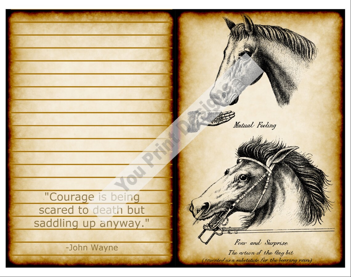 Vintage Horse Journal Pages Digital Ephemera Horse Etsy