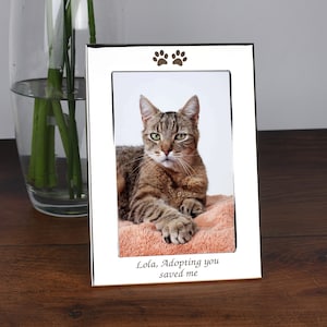 May include: Silver photo frame with a paw print design. The frame holds a photo of a tabby cat. The text below the photo reads "Lola, Adopting you saved me."
