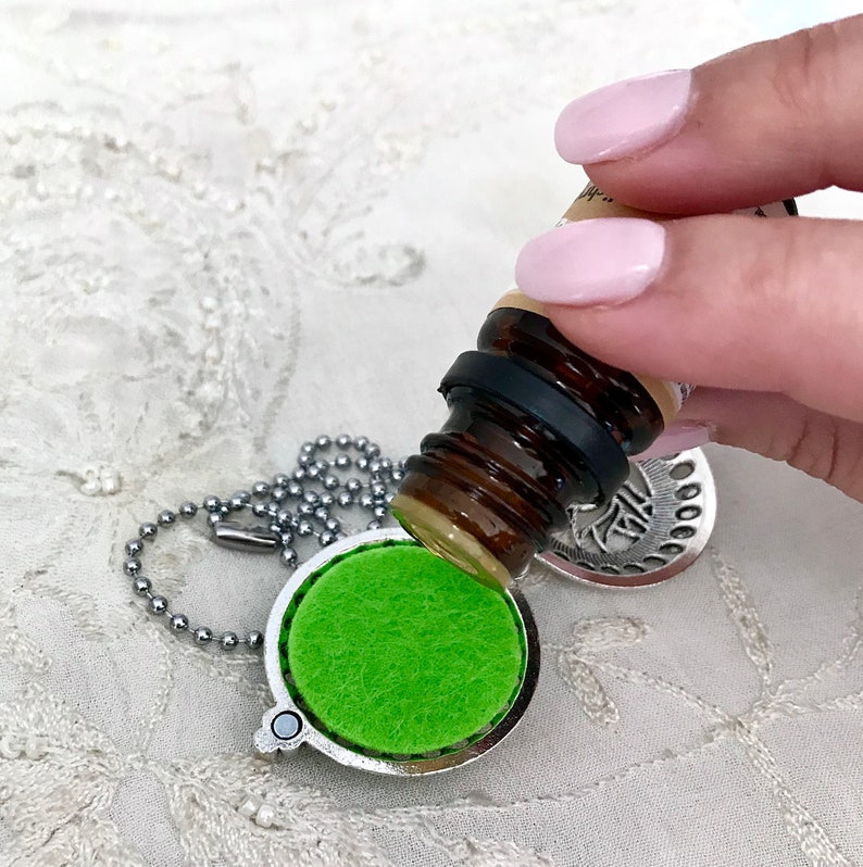 Aromatherapy Car Locket Essential Oils Owl Diffuser Car Etsy