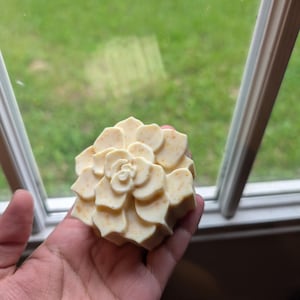 Citrus soap bar
