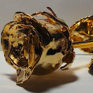 24k Gold-Dipped Natural Rose 6&quot;-one pcs