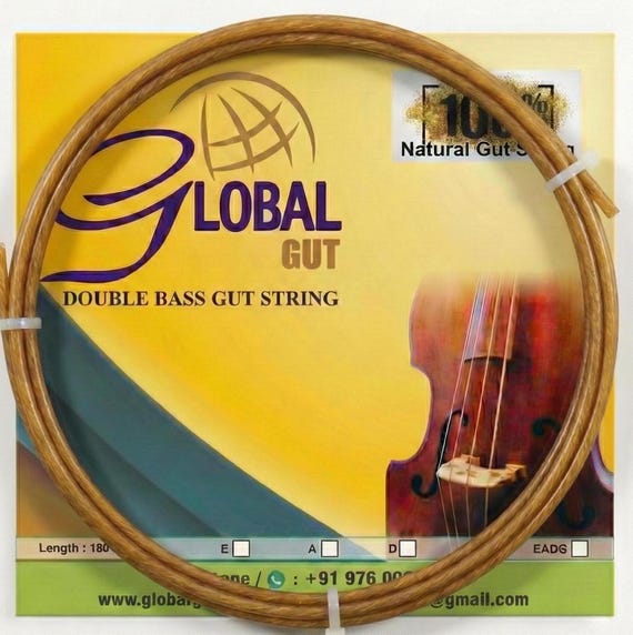 Double Bass Gut String — A String