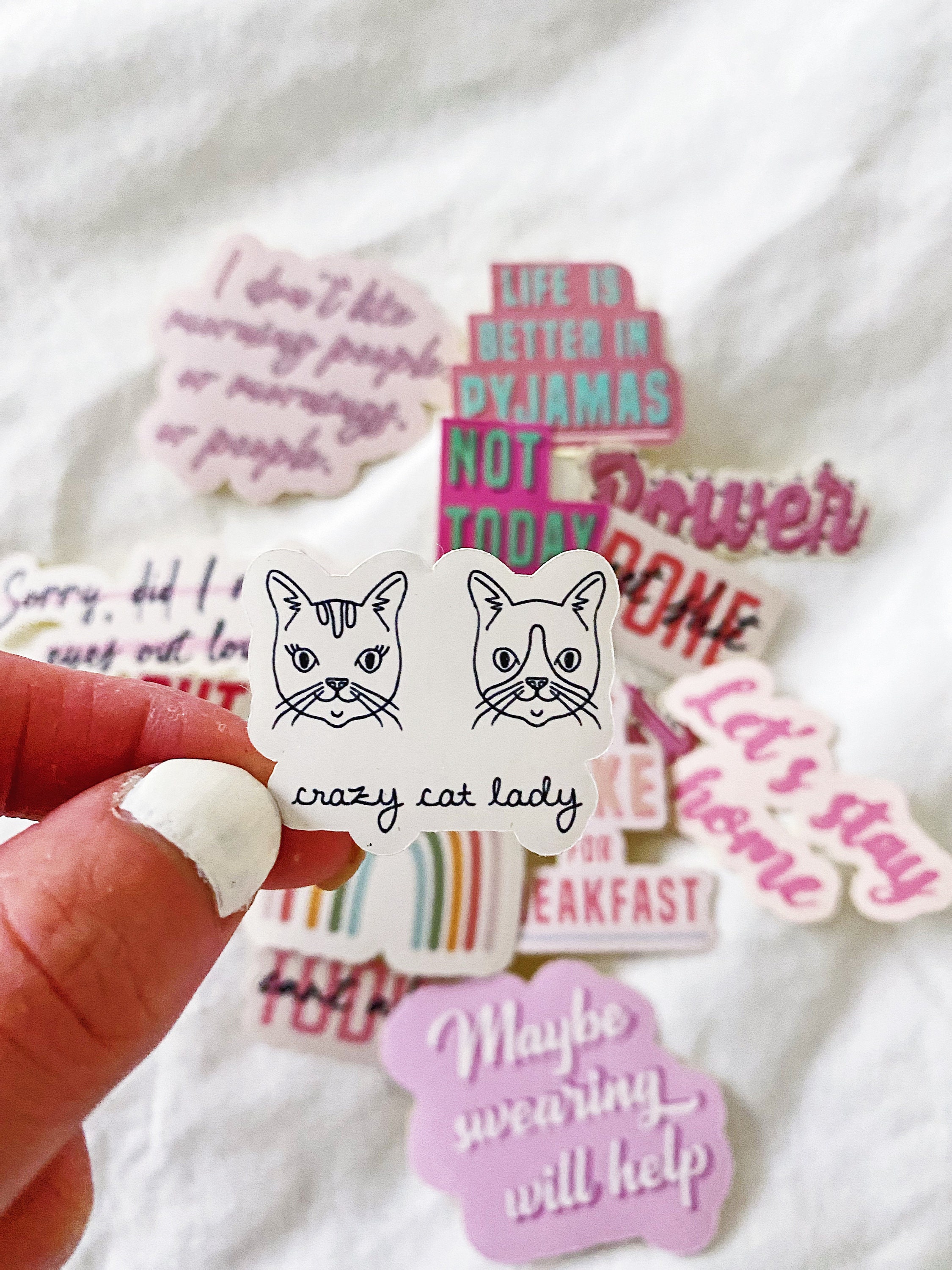Crazy Cat Lady Sticker Laptop Sticker Funny Stickers Girly Etsy