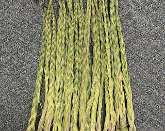 Sweetgrass Braids 22"-24" long