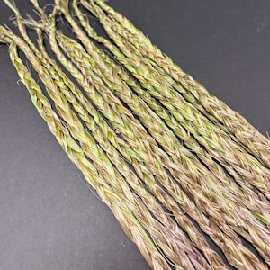 Sweetgrass Braid 22"-24" long