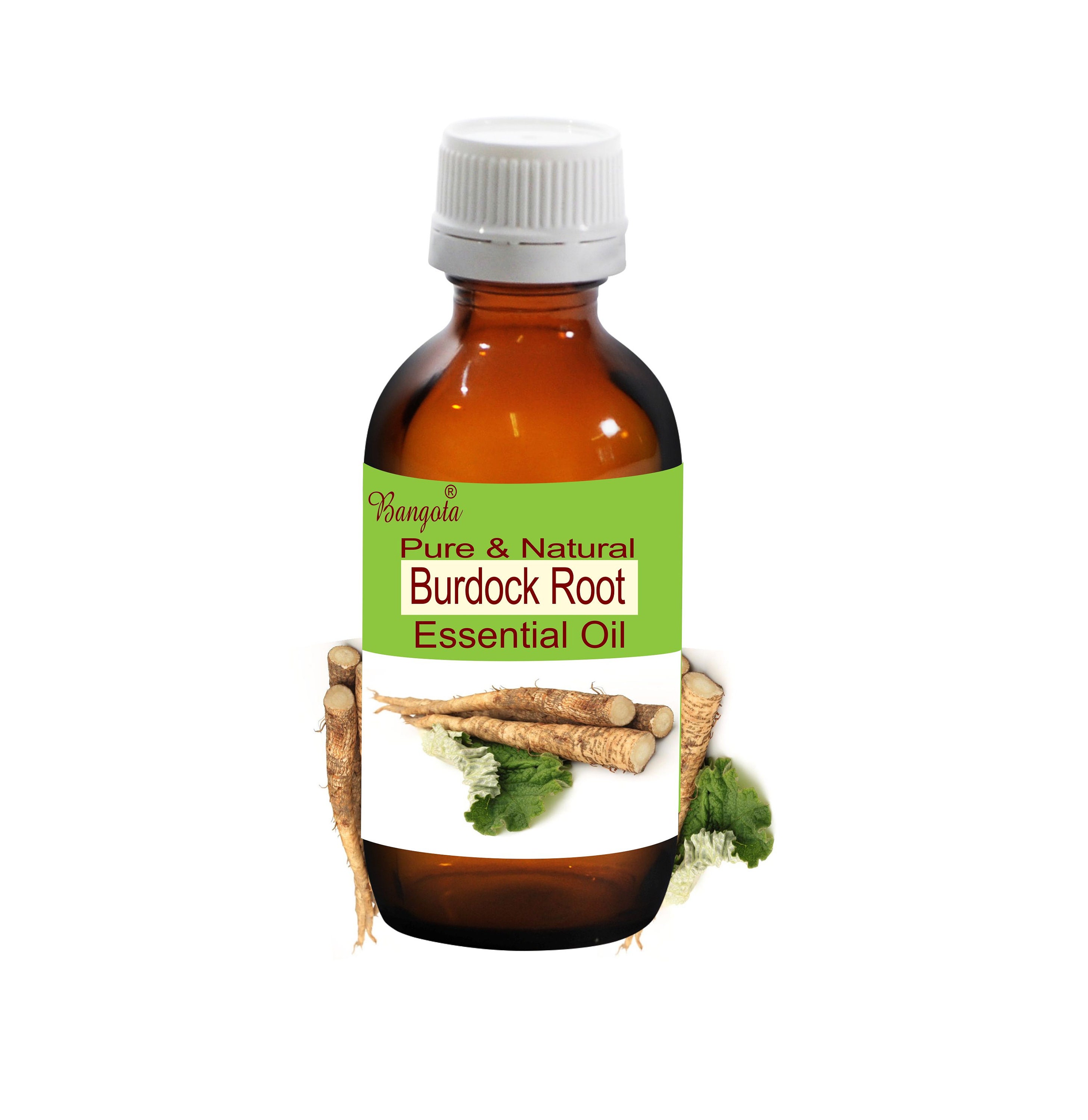 Burdock Root Pure & Natural Essential Oil Arctium Lappa by - Etsy Burdock Root Pure & Natural Essential Oil Arctium Lappa by - Etsy