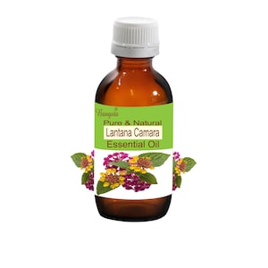 May include: A brown glass bottle with a white cap and a green label. The label reads "Pure & Natural Lantana Camara Essential Oil." The bottle is decorated with images of purple and yellow flowers.