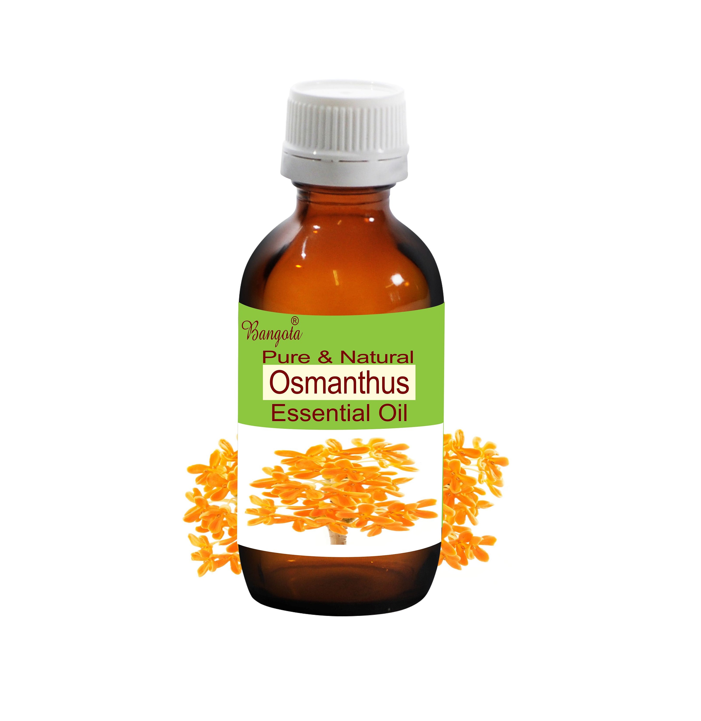 Osmanthus Pure & Natural Essential Oil Osmanthus Fragrans by Bangota