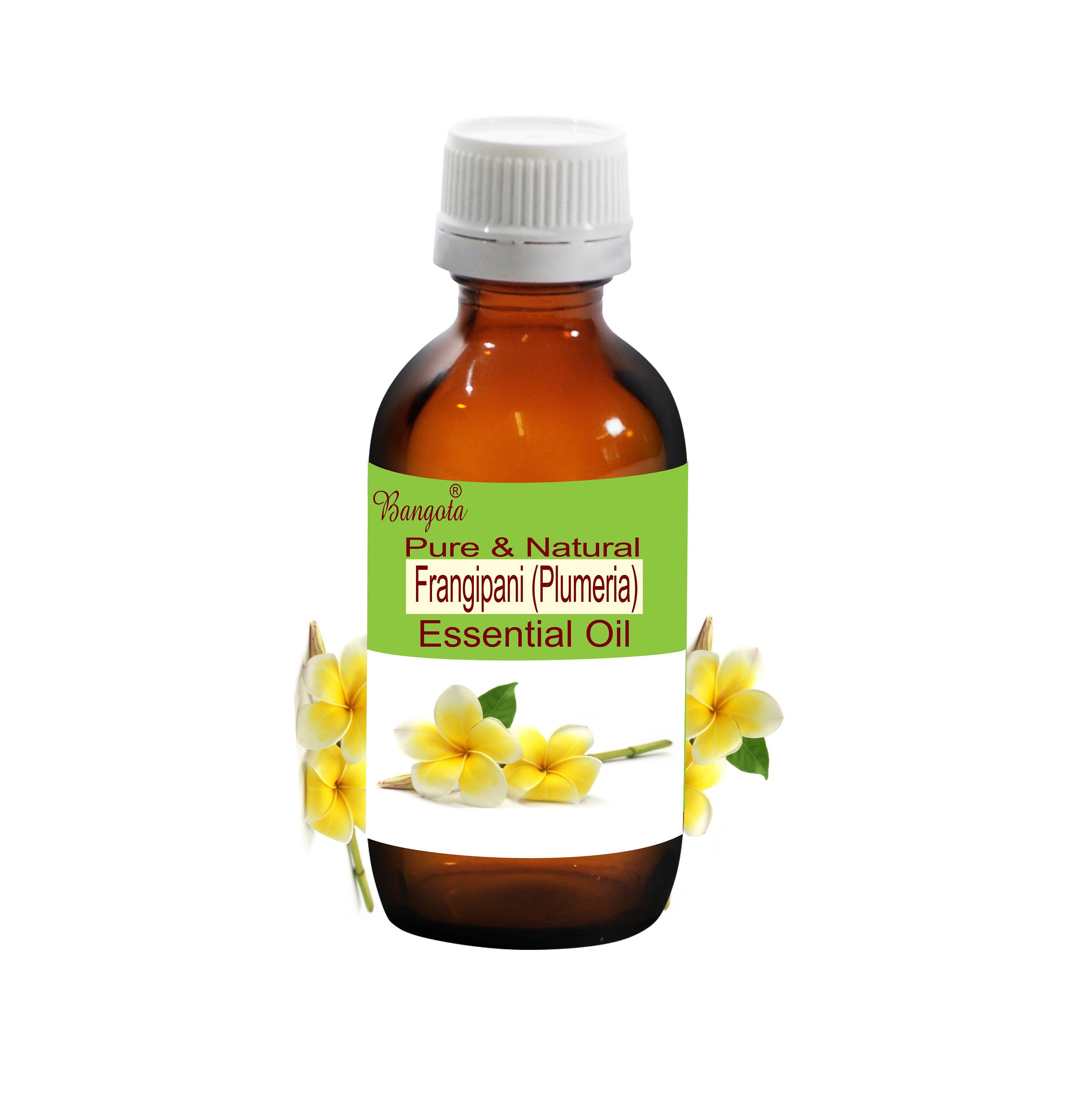 Frangipani plumeria Pure & Natural Essential Oil Plumeria Alba by Bangota  5ml to 100ml Glass Bottle and 250ml to 1000ml Aluminium Bottle 