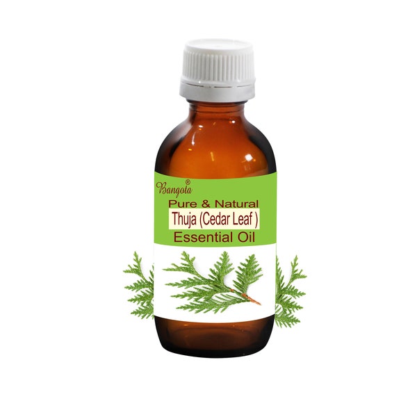 Thuja (Cedar Leaf) Pure Natural Essential Oil Thuja occidentalis by Bangota (5ml to 100ml Glass Bottle and 250ml to 1000ml Aluminium Bottle)