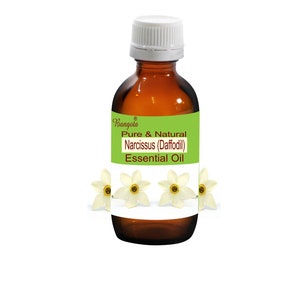 Óleo Essencial Puro Natural de Narciso (Narciso) Narcissus poeticus da Bangota (Frasco de Vidro de 5ml a 100ml e Frasco de Alumínio de 250ml a 1000ml)