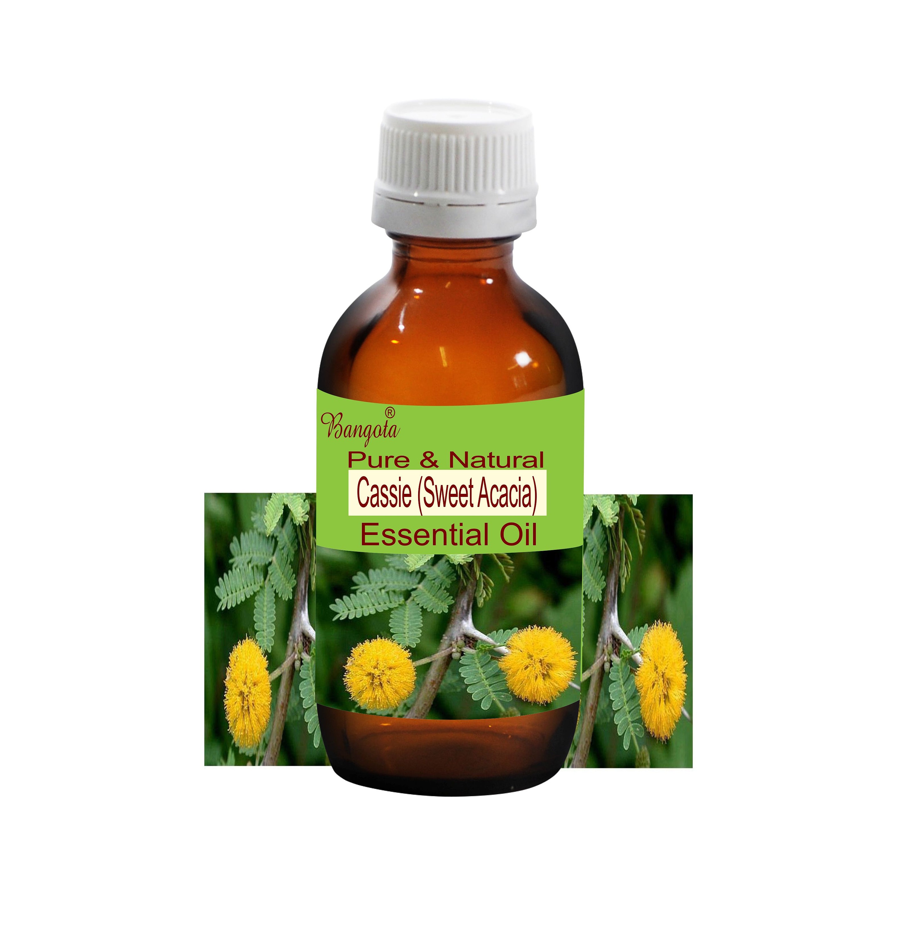 Cassie (Sweet Acacia) Pure Natural Essential Oil Acacia farnesiana by Bangota (5ml to 100ml Glass Bottle & 250ml to 1000ml Aluminium Bottle)