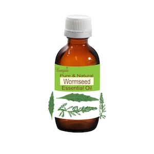 Könnte beinhalten: Eine braune Glasflasche mit weißem Verschluss, beschriftet mit "Pure & Natural Wormseed Essential Oil". Das grüne Etikett zeigt weißen Text und botanische Illustrationen. Die Flasche enthält eine klare Flüssigkeit.