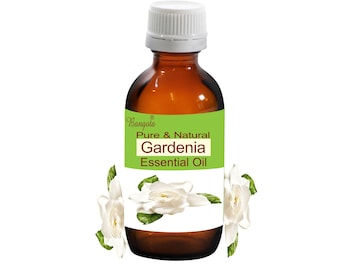 Aceite esencial de gardenia (Gardenia jasminoides), aromaterapia floral natural pura de Bangota