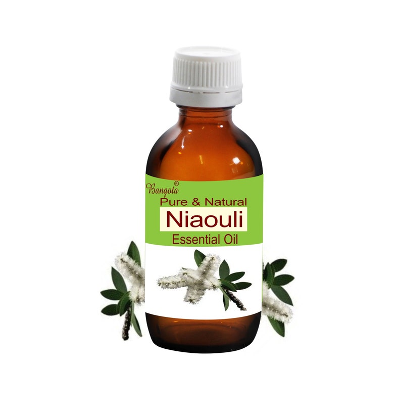 Niaouli Pure & Natural Essential Oil Melaleuca viridiflora by Bangota 5ml to 100ml Glass Bottle and 250ml to 1000ml Aluminium Bottle image 1