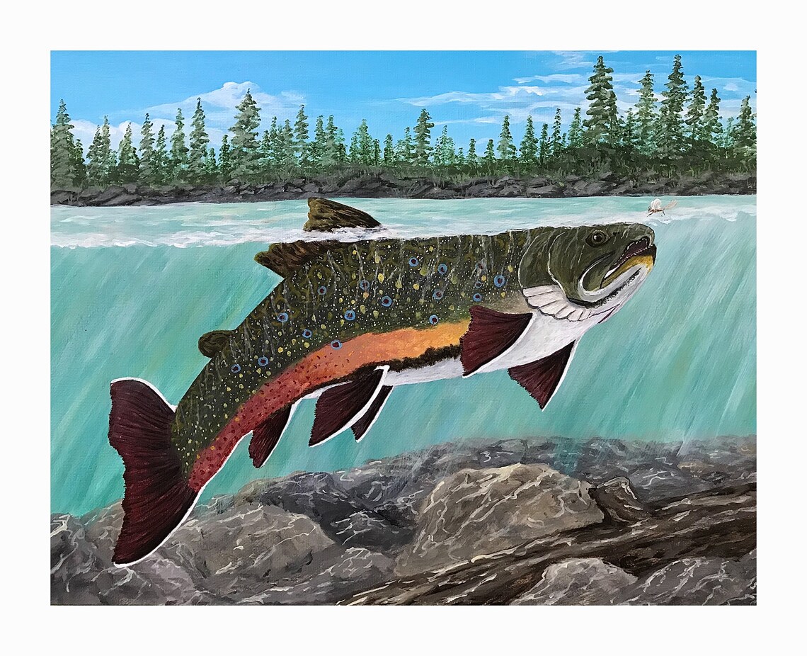 Brook Trout Print Trout Painting Trout Fishing Art Etsy
