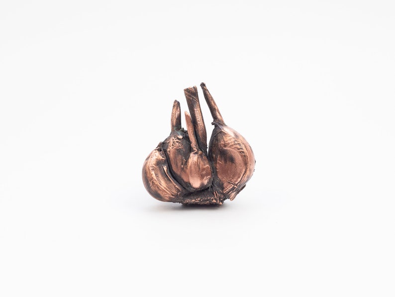 Garlic pin brooch Vegan jewelry Vegetable brooch.