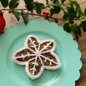 May include: A crocheted snowflake cookie ornament in brown and white on a teal plate.