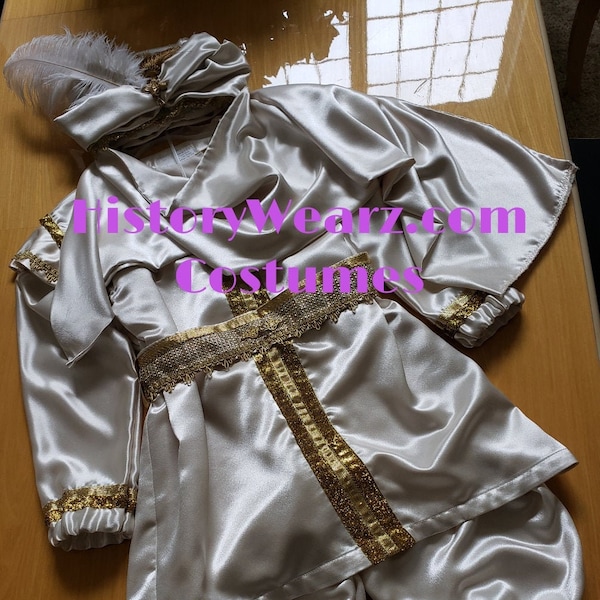 Disney Aladdin Prince Ali / Halloween costume / HistoryWearz costume / photo prop Arabian night Disneyland / Aladdin Prince Ali 2019