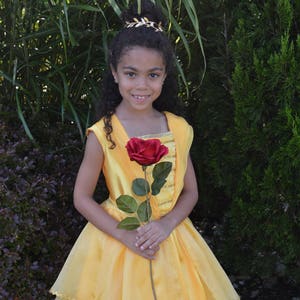 Girls Princess Belle Dress - Flower girl dress  -  Birthday party dress - Disney Princess costume - girls wedding party dress