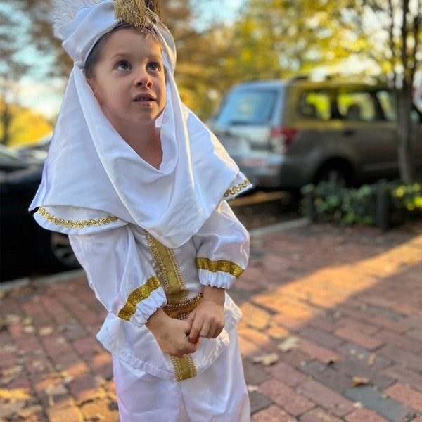 Prince Ali / Disney Aladdin Prince Ali / Halloween costume / HistoryWearz costume / Aladdin Prince Ali 2019