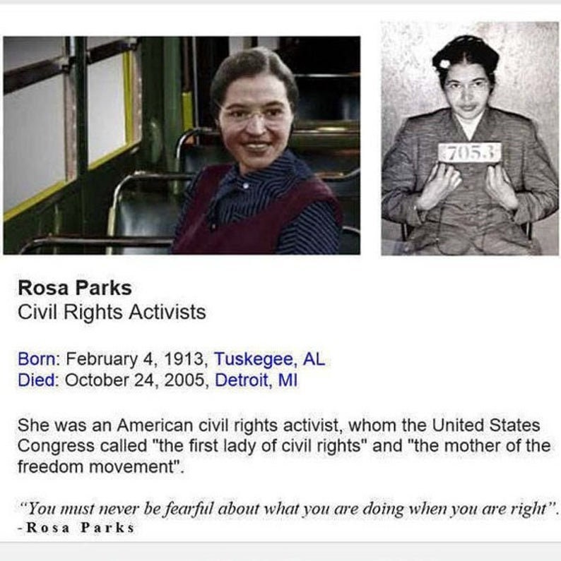 Rosa Parks costume Montgomery Bus Boycott suit Theater costume Historical Costume First Lady of civil rights costumes for girls image 4
