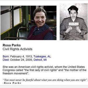 Rosa Parks costume Montgomery Bus Boycott Historical Costume First Lady of civil rights school project Halloween costume image 2