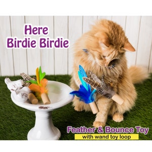 Hier Birdie Birdie - SET VAN 3 - Toverstaf en verengooispeeltje