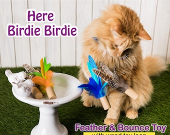 Here Birdie Birdie - SET OF 3 - Wand and Feather Toss Toy