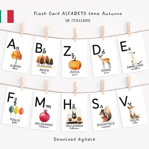 Flash card Alfabeto tema Autunno stampabili, Stampatello e Corsivo, metodo Montessori. Download istantaneo.