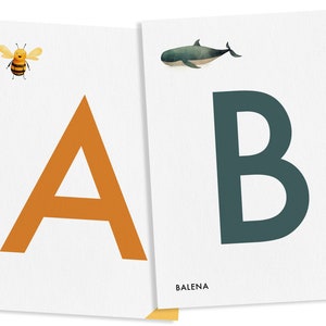 FLASH CARD ABECEDARIO alphabet in Italian to learn to read