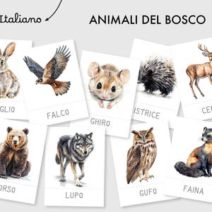 Carte didattiche Animali del bosco in italiano