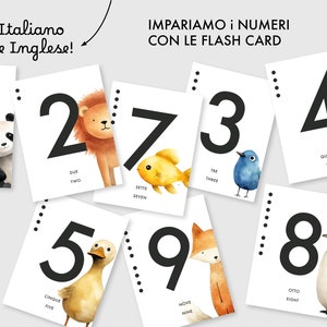 NUMERI Flash Card, ITALIANO e INGLESE, Carte di apprendimento stampabili per bambini.