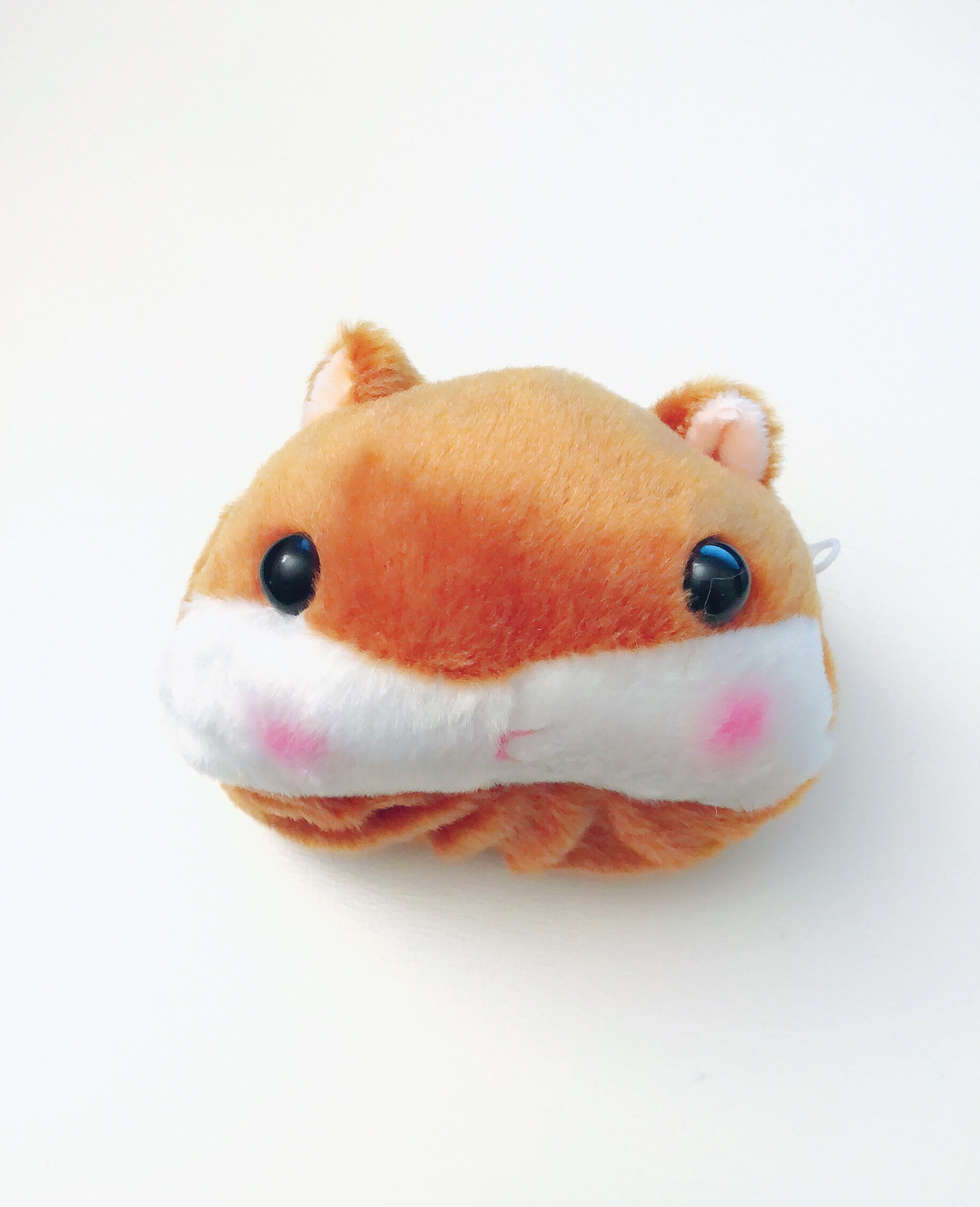 Corgi butt coin purse sale