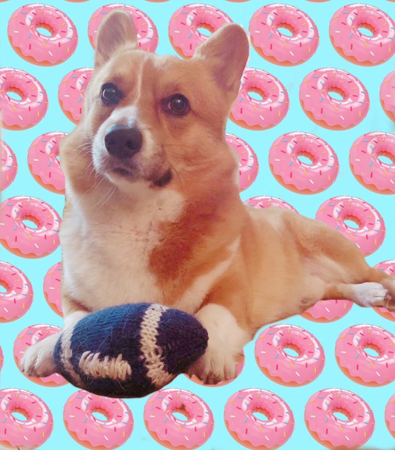 Handmade knit squeaky dog toys