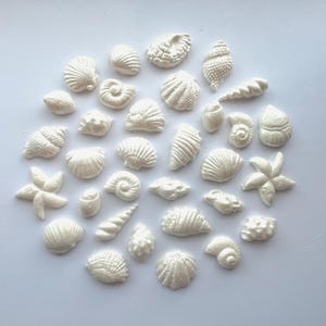 Seashells Cake Decor, 30 pcs Pearlescent Fondant Cake Decorations, Cupcake Toppers, Nautical Cake Toppers Party Decor, Birthday Cake Decor
