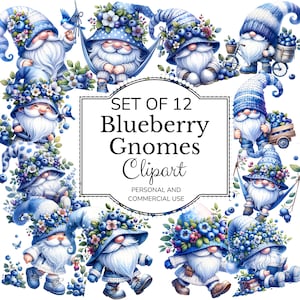 Blueberry Gnome Clipart: Spring Berry Graphics (Digital Download)