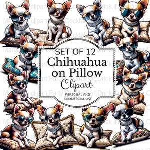 Sunglass Chihuahua Clipart, Pampered Dog Sublimation Graphic, Transparent Background PNG, Waterslide, Commercial Use, Digital Download