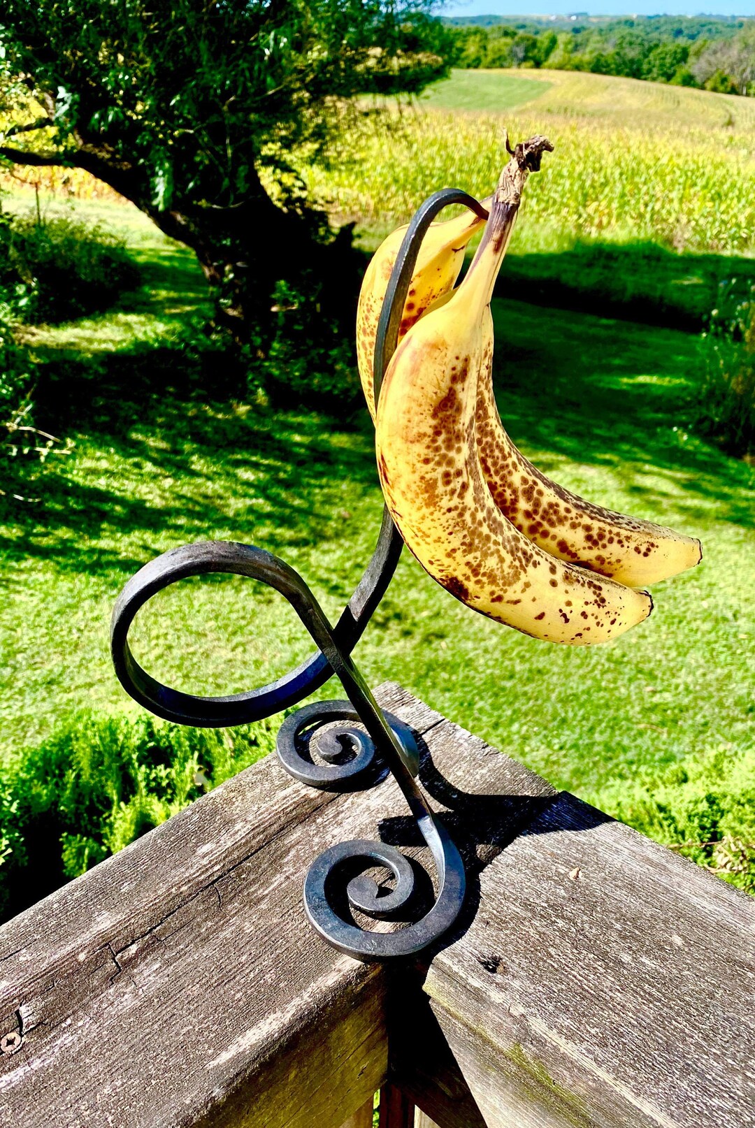 Banana Holder/hanger Etsy