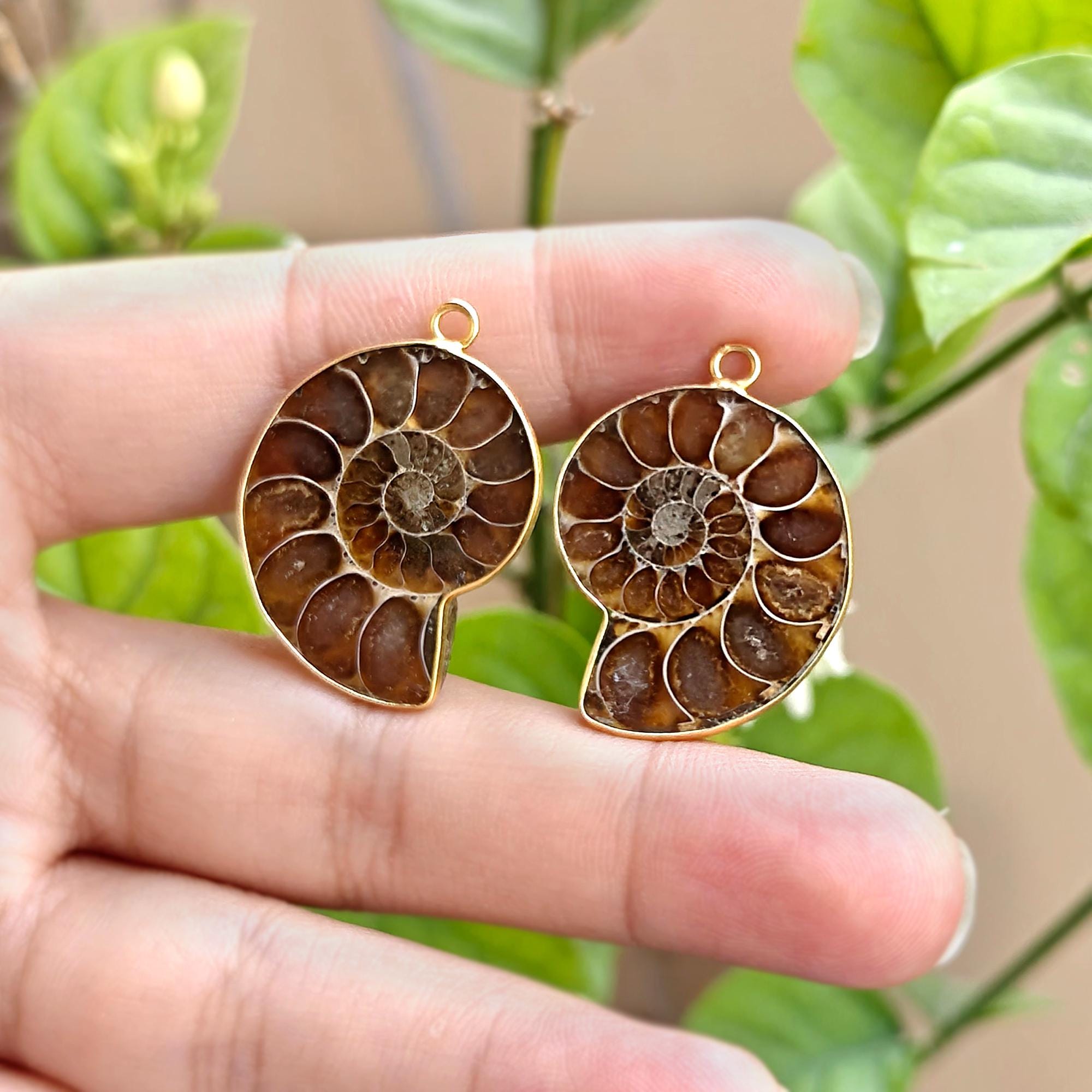 Natural Ammonite Fossil Earring Connectors