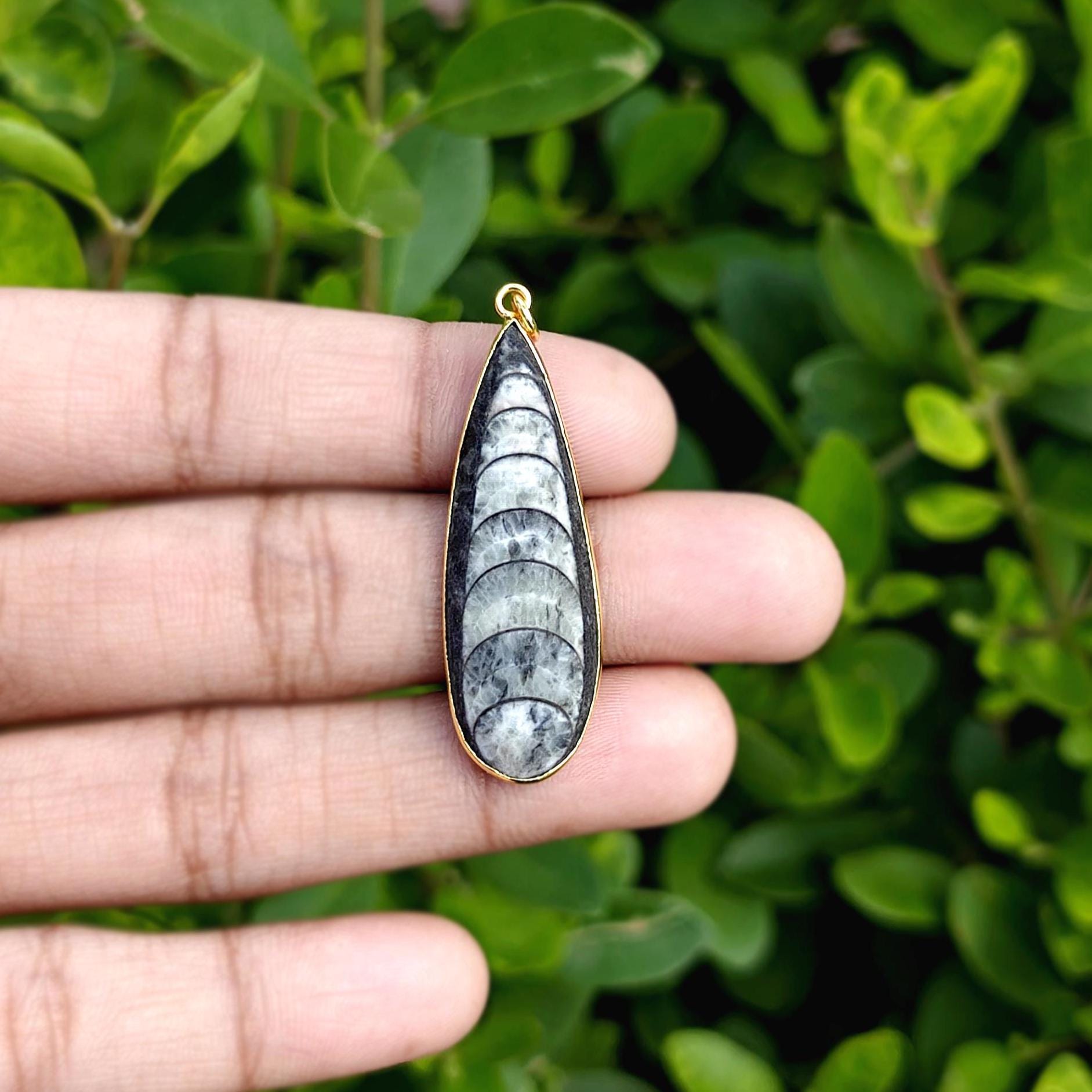 Orthoceras Fossil Bezel Pendant, Gemstone Cabochon Brass Gold Plated Connector