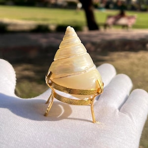 Pearl Trochus Shell with Gold Plated Stand: Seashell Home Decor Accent