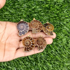 Può includere: Cinque ciondoli in fossile di ammonite con ganci in metallo dorato. Ogni ciondolo presenta un distinto motivo a spirale in tonalità marrone, marrone chiaro e grigio scuro, che mette in mostra la struttura naturale delle conchiglie.