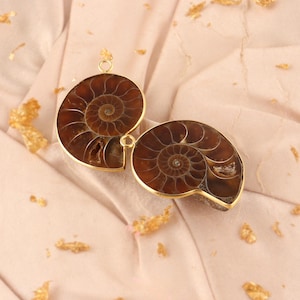 May include: Two fossil pendants with a spiral design. The pendants are brown with a gold-colored border and a gold-colored loop at the top. The pendants are set against a light pink background with gold flakes.