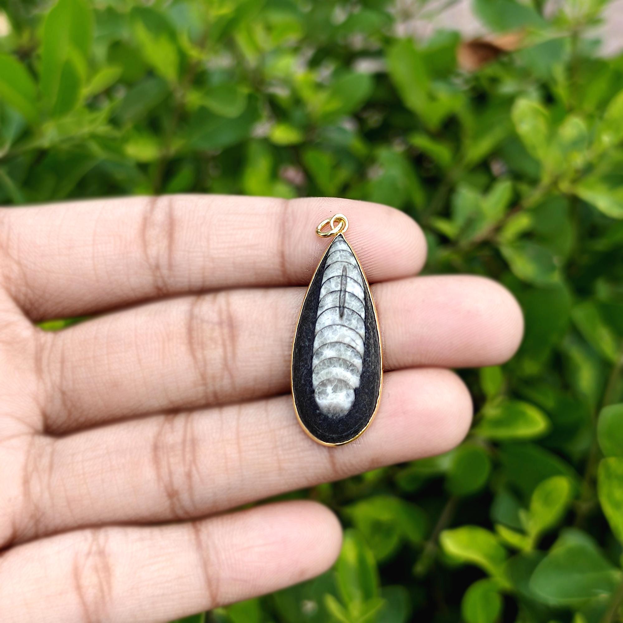 Orthoceras Fossil Bezel Pendant, Gemstone Cabochon Brass Gold Plated Connector