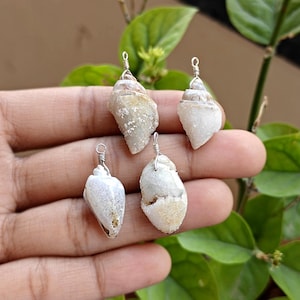 May include: Four small, natural seashell pendants with silver wire loops. The shells are off-white and beige, with textured surfaces. The pendants are displayed against a backdrop of green leaves.