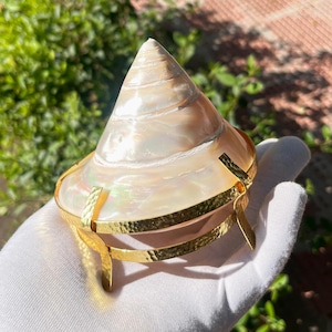 Huge Trochus Shell with Stand 4&quot; Long, Gold Plated Stand Seashell Home Décor Accent, Trochus Pearl Shell Display Collection For Gift Ideas