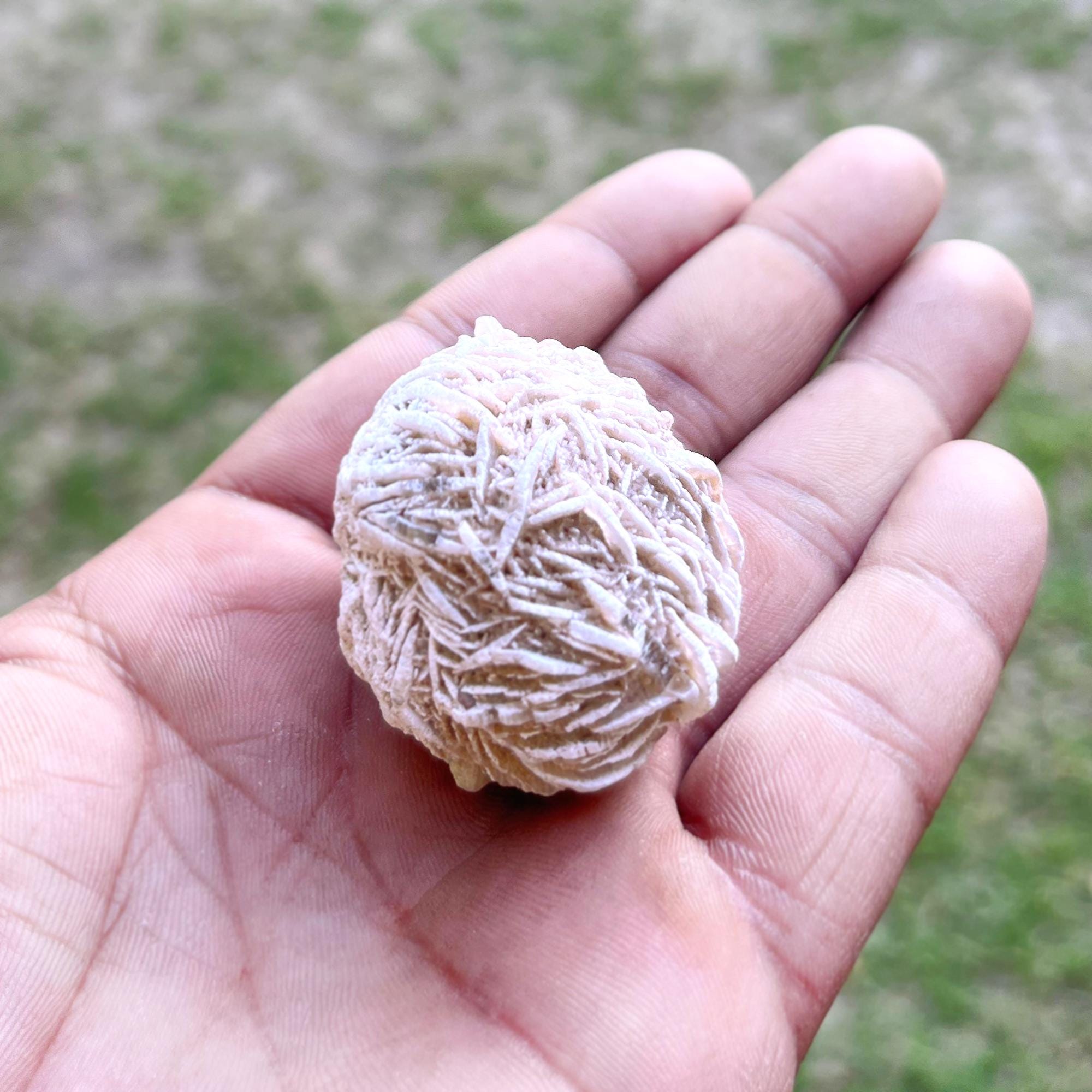 Raw Desert Rose Selenite: Natural Gypsum Crystal, Reiki Healing
