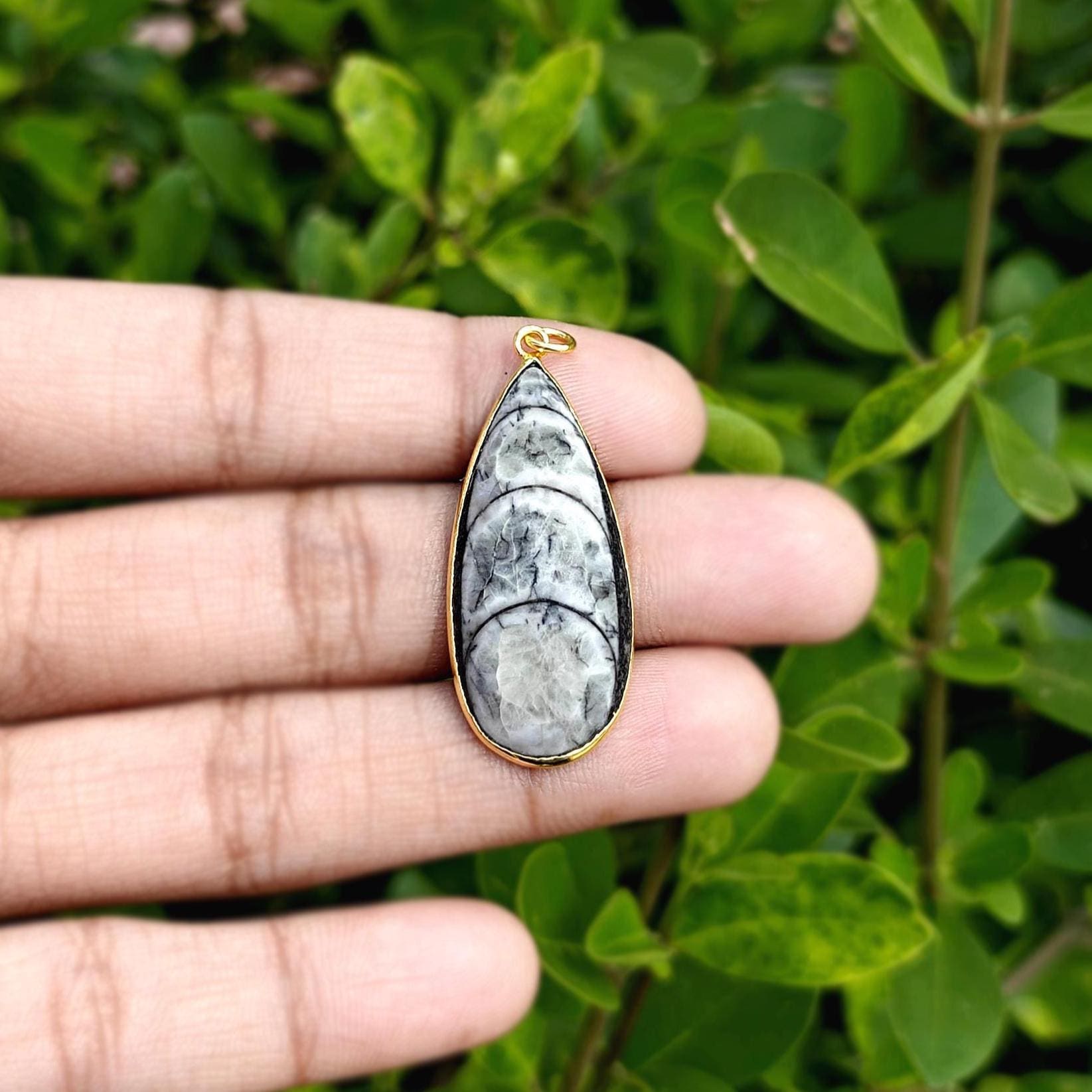 Orthoceras Fossil Bezel Pendant, Gemstone Cabochon Brass Gold Plated Connector