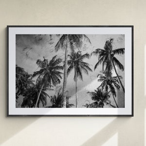 Coconut trees, Brazilian beach. Limited edition fine art photography print